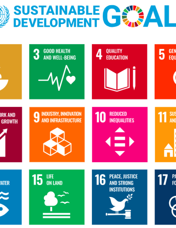 sdgs